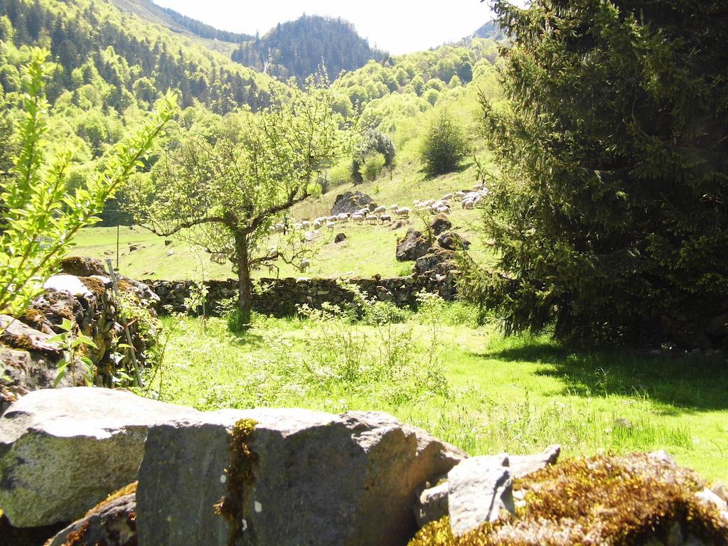Gite Auberge Les Cascades La Mongie Εξωτερικό φωτογραφία